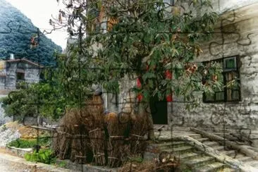Chinese Farmhouse  Anhui  China