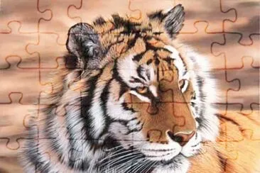 Tigre de vengala