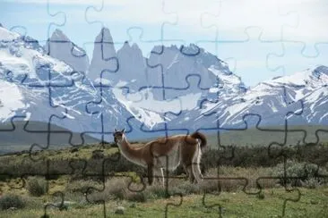 Torres del Pine  Chili jigsaw puzzle