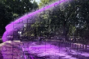 Protesters Shot with Purple Water Cannon-India jigsaw puzzle