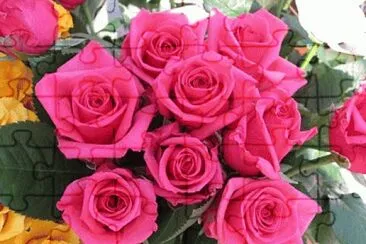 rosas