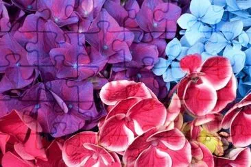 flores jigsaw puzzle