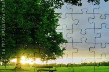 frase jigsaw puzzle