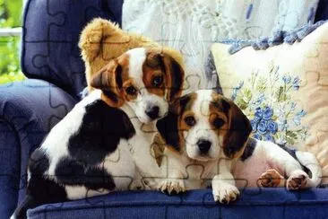 gossets jigsaw puzzle