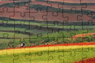 paisaje jigsaw puzzle