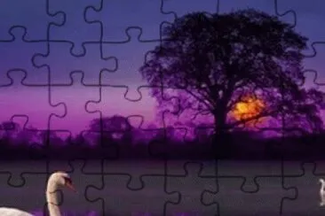 Swan in Reflecting Pond jigsaw puzzle