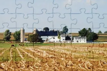Amish Farm