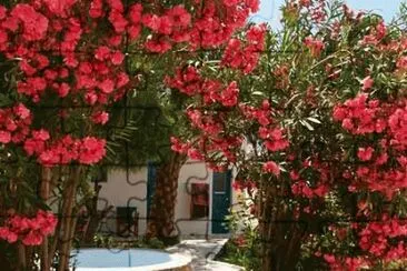 Amorgos Garden Rhodes  Greece jigsaw puzzle