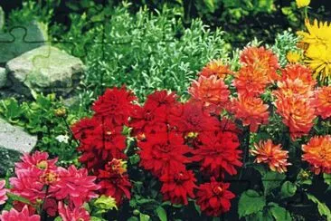 JardÃ¬ jigsaw puzzle