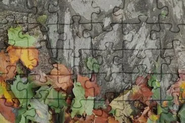 OtoÃ±o