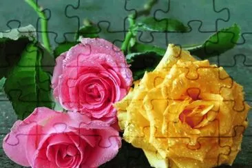 3 Rosas