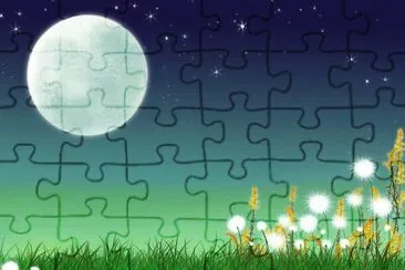 luna jigsaw puzzle