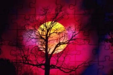 sol o luna jigsaw puzzle