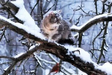 winter jigsaw puzzle