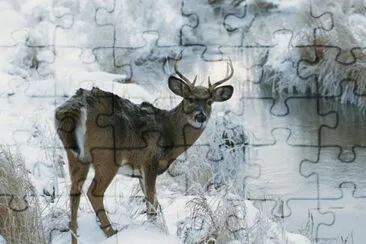 winter