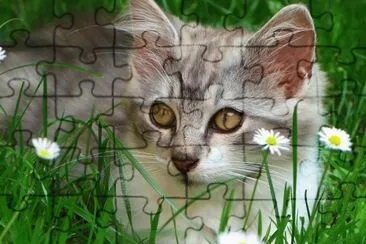 gatet