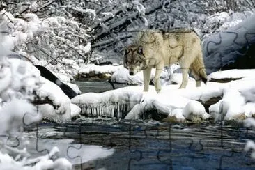 Winter Fishing