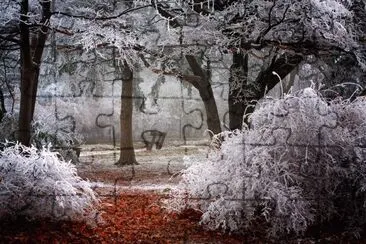 Winter in the Netherlands