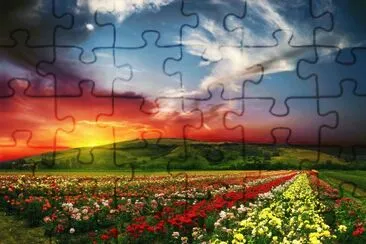Colors Paradise jigsaw puzzle