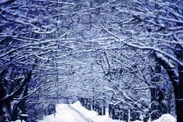 winter 21