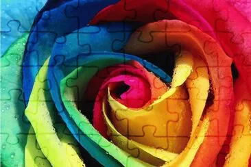 BotÃ£o de Rosa Colorido
