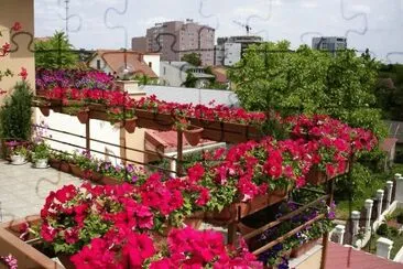 10 de janeiro