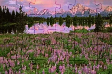 Pilgrim Creek  Grand Teton  Wyoming  USA jigsaw puzzle