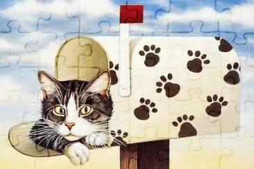 Gatos