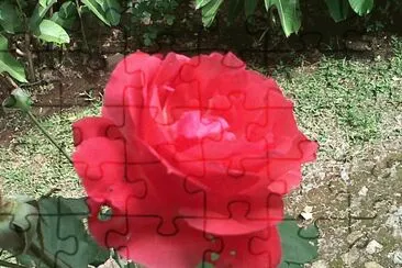 flor