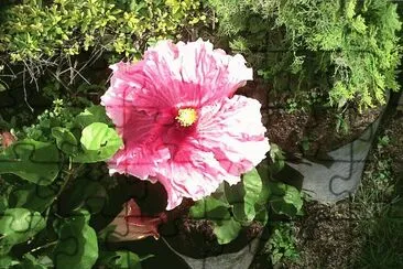 flores jigsaw puzzle