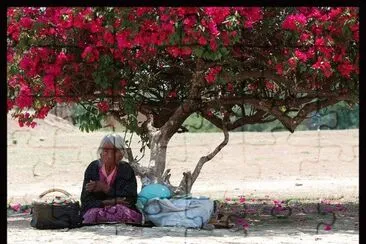 Old Lady resting in the shade  Mexico City