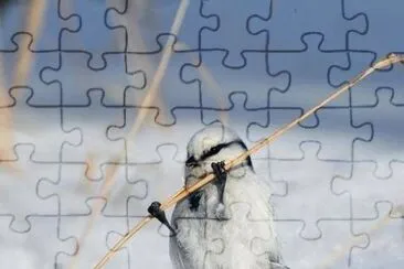 winter jigsaw puzzle