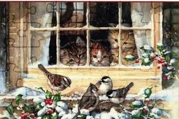winter