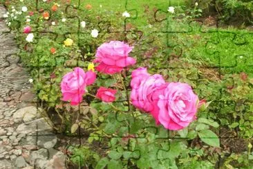 flores jigsaw puzzle