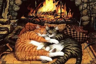 Gatos