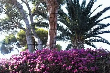 JardÃ¬