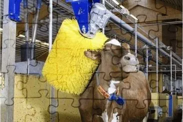 35