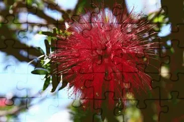 Flower jigsaw puzzle