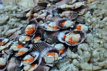 פאזל של Delicacy from the Sea
