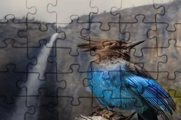 . jigsaw puzzle