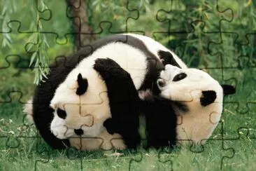 . jigsaw puzzle