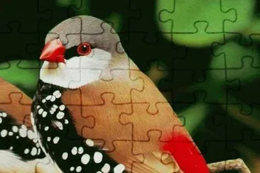 . jigsaw puzzle