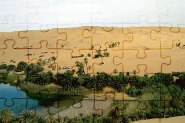 Oasis in the Libyan desert