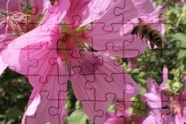 Honey collecting Bee jigsaw puzzle