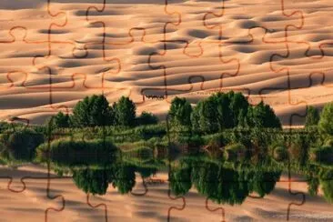 Oasis