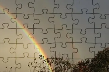 Backyard rainbow