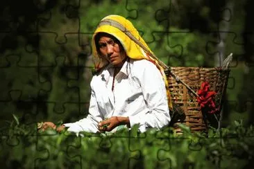 Undermines Star  Sikkim jigsaw puzzle
