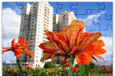 Flor em primeiro plano jigsaw puzzle