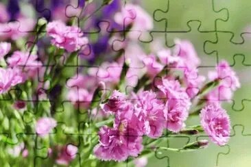 GAROFANO jigsaw puzzle