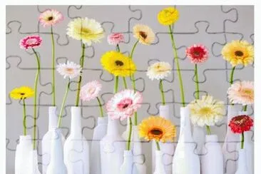 GERBERA jigsaw puzzle